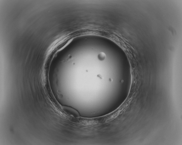 X0000115740245200911121543