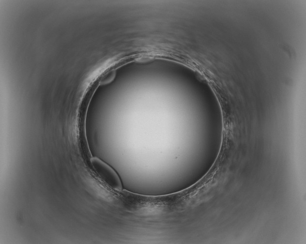 X0000115740248200911121543