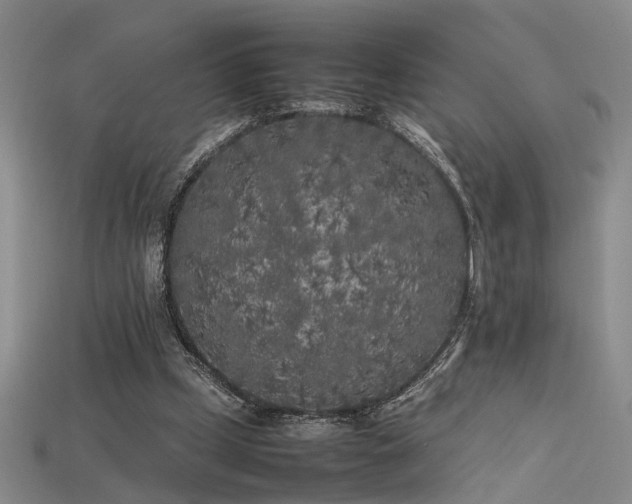 X0000115740249200911121543