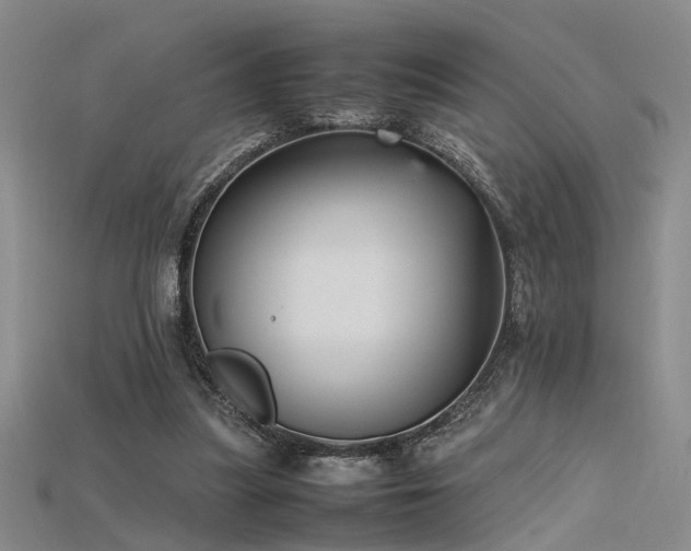 X0000115740251200911121543