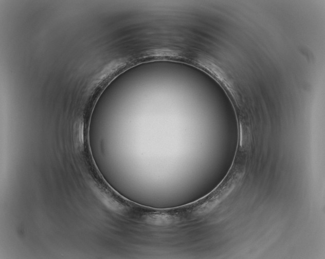 X0000115740253200911121543