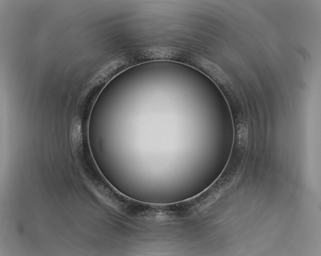 X0000115740254200911121543