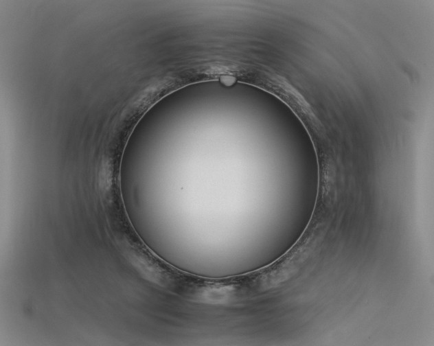 X0000115740257200911121543