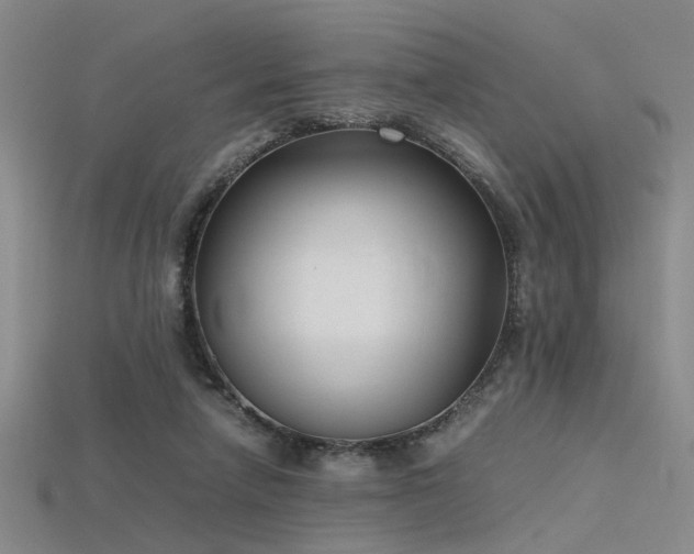 X0000115740258200911121543