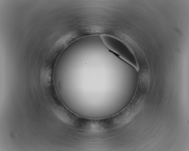 X0000115740264200911121543