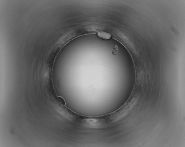 X0000115740265200911121543