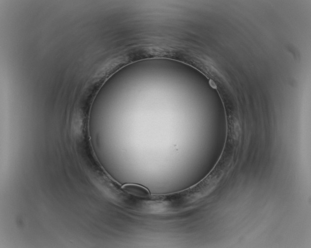 X0000115740266200911121543