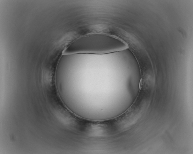 X0000115740268200911121543