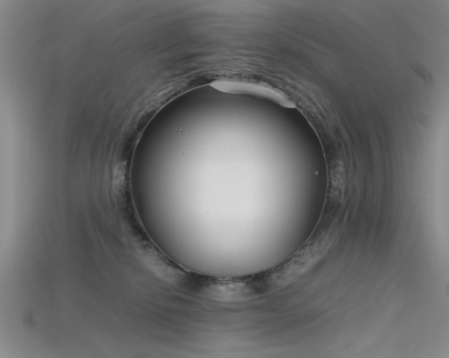 X0000115740278200911121543