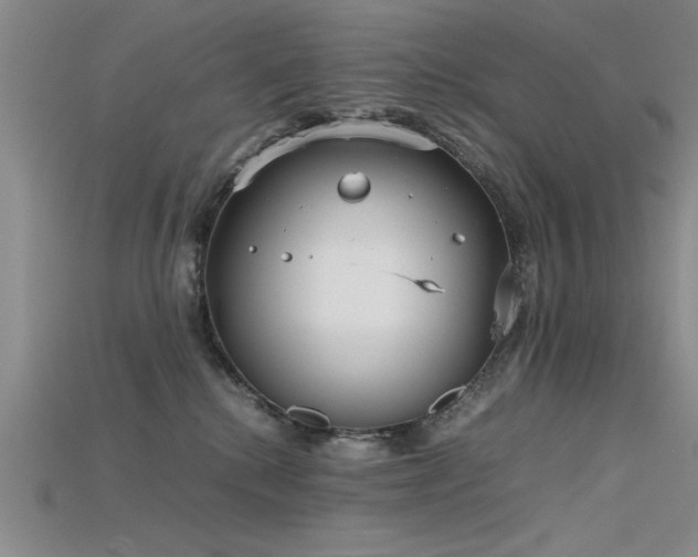 X0000115740280200911121543