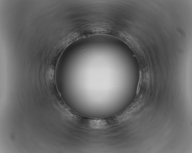 X0000115740281200911121543