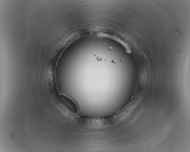 X0000115740282200911121543