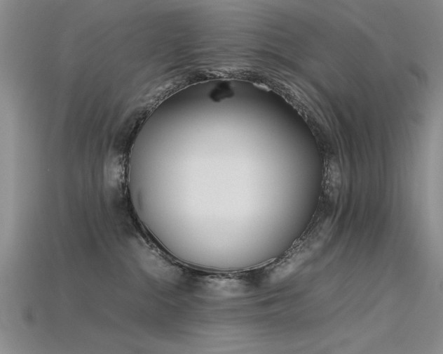 X0000115740284200911121543