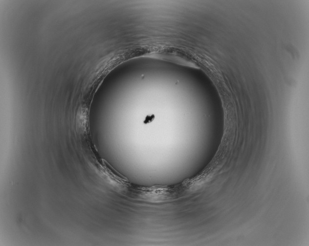 X0000115740288200911121543