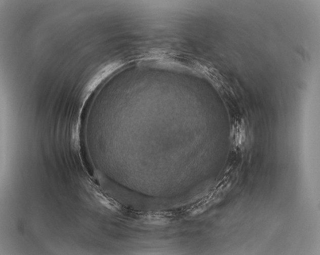 X0000115740292200911121543