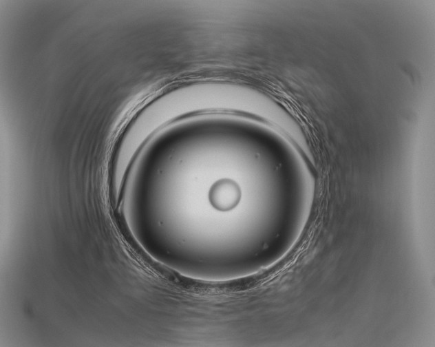 X0000115740293200911121543