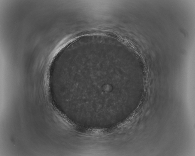 X0000115740295200911121543