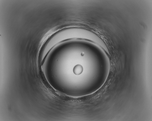 X0000115740296200911121543