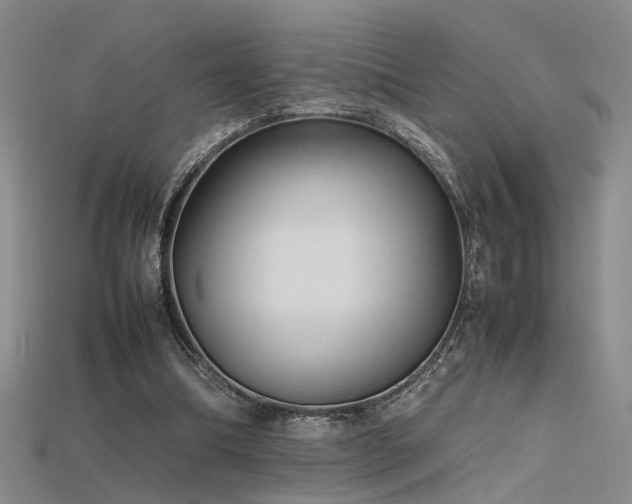 X0000115740298200911121543