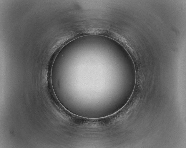 X0000115740299200911121543