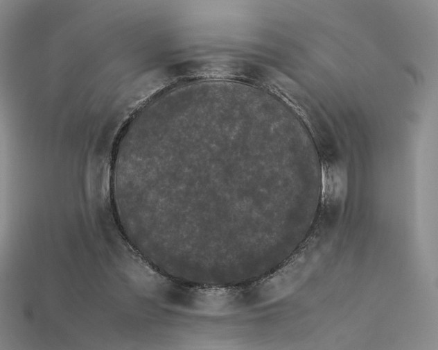 X0000115740301200911121543