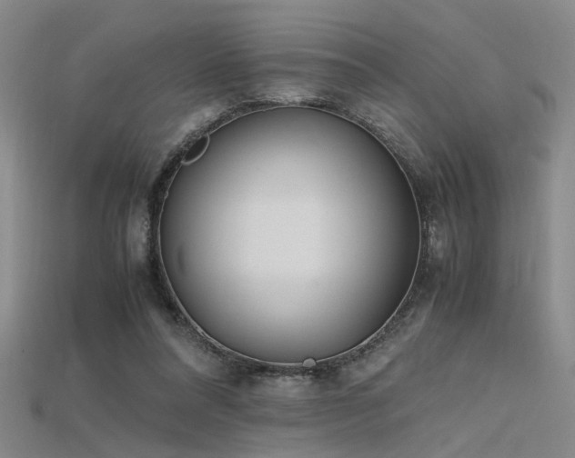 X0000115740304200911121542