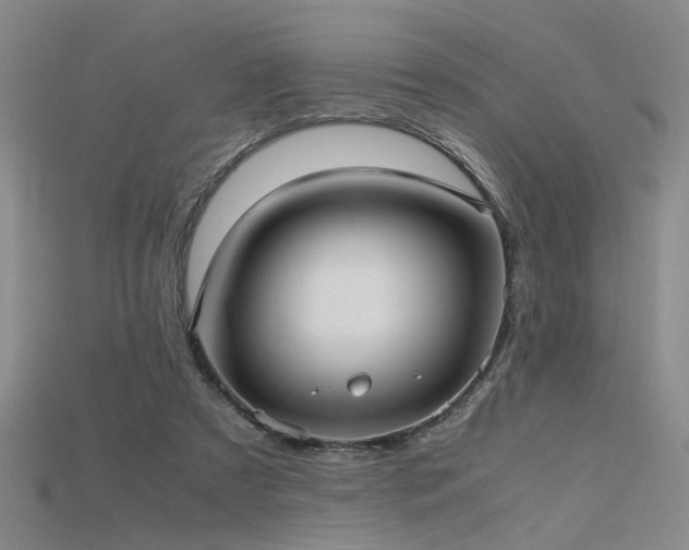 X0000115740305200911121542