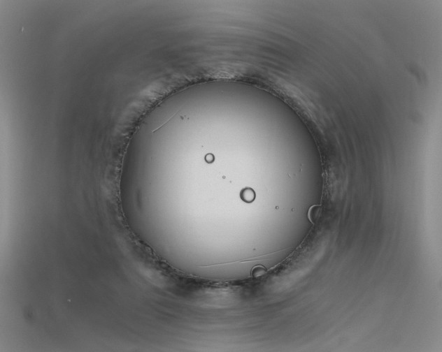 X0000115740307200911121542