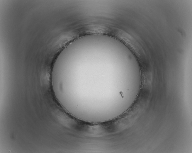 X0000115740309200911121542