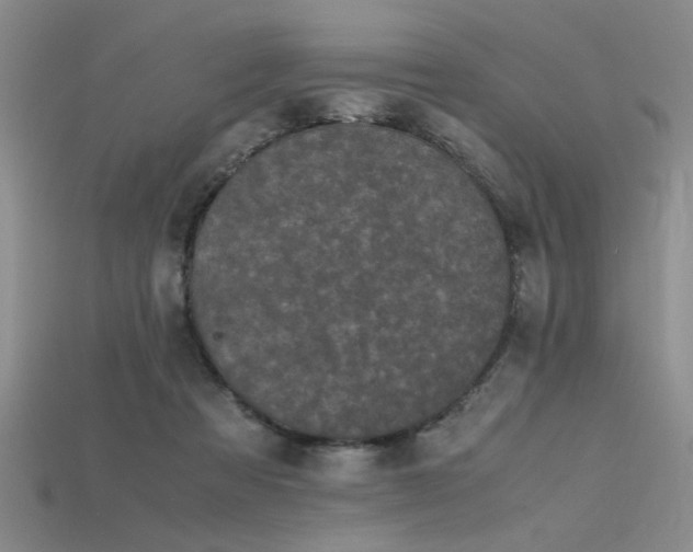 X0000115740313200911121542