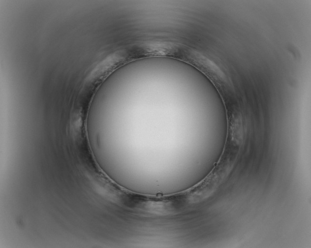 X0000115740314200911121542