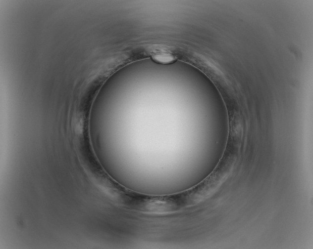 X0000115740315200911121542