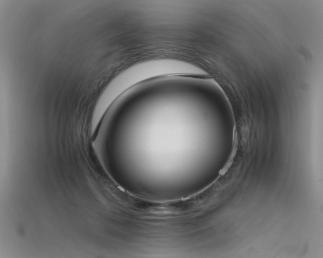 X0000115740316200911121542