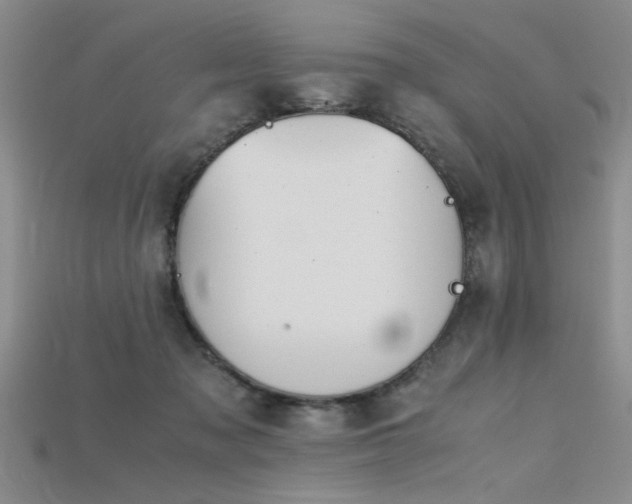 X0000115740317200911121542