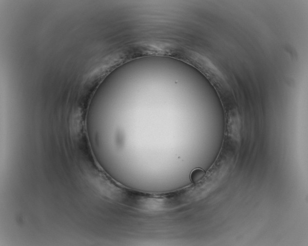X0000115740318200911121542