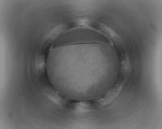 X0000115740320200911121542