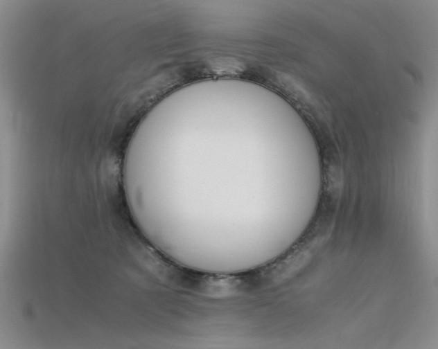 X0000115740321200911121542