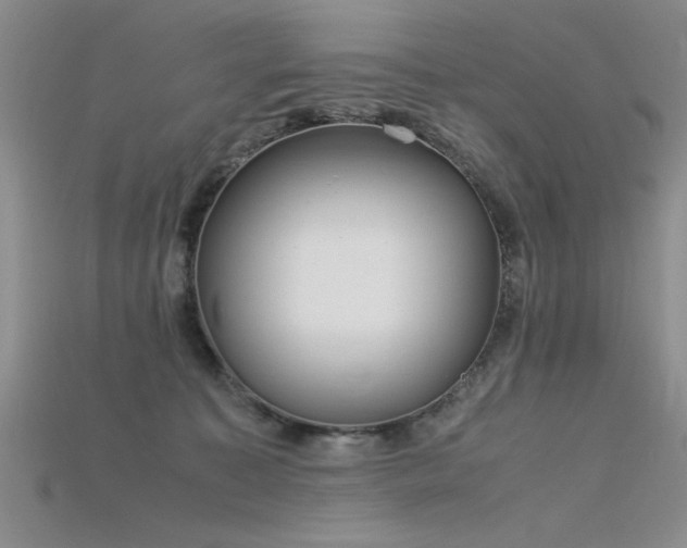 X0000115740323200911121542
