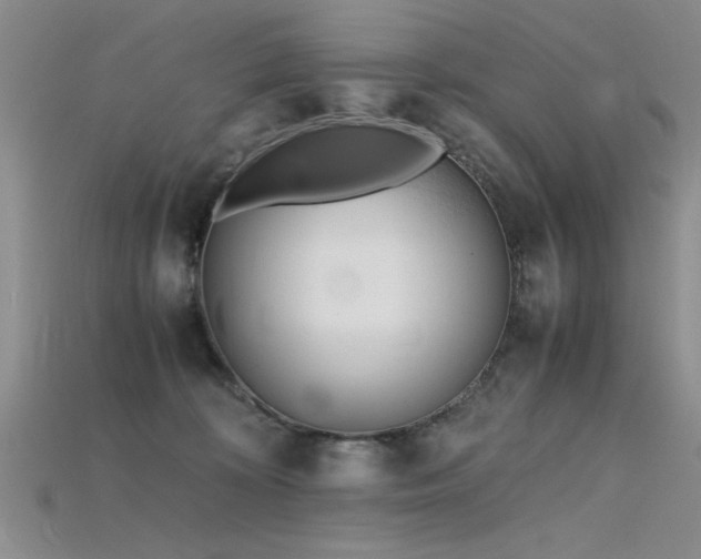 X0000115740324200911121542