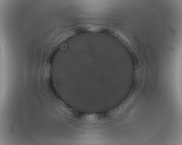 X0000115740325200911121542