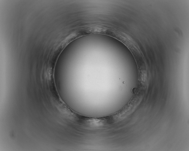X0000115740326200911121542