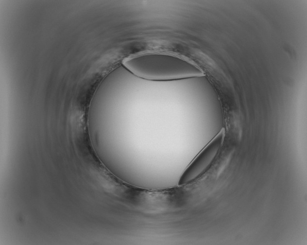 X0000115740327200911121542