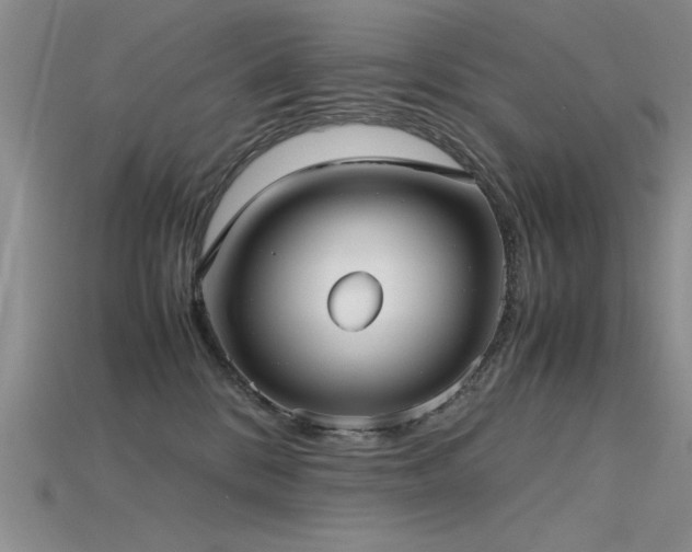X0000115740328200911121542