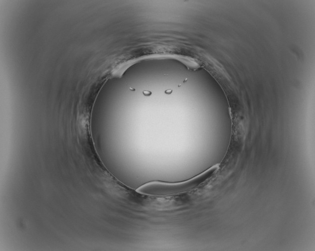 X0000115740329200911121542