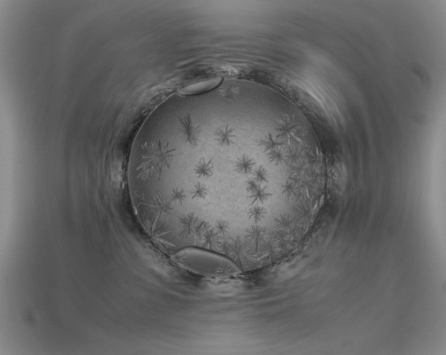 X0000115740331200911121542