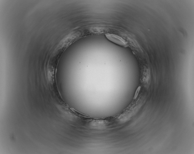 X0000115740332200911121542