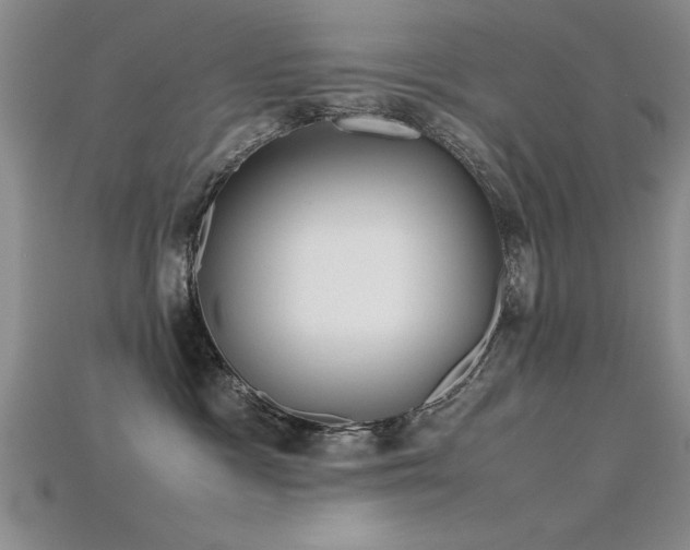 X0000115740333200911121542