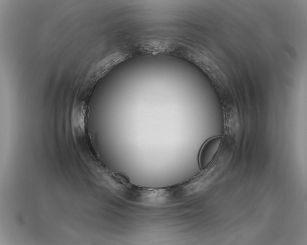 X0000115740334200911121542