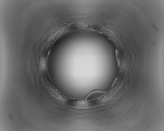 X0000115740335200911121542