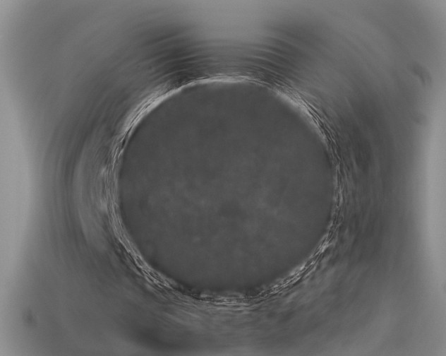 X0000115740337200911121541